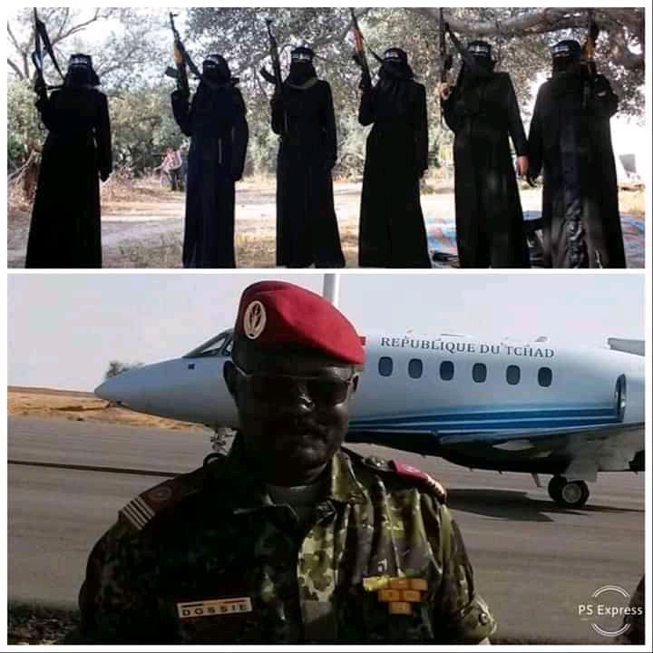 Article : $twenty five No deposit Incentive