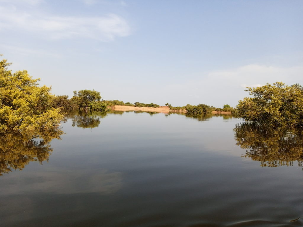 Article : Tchad : à cause des inondations, N’Djaména traverse des moments difficiles