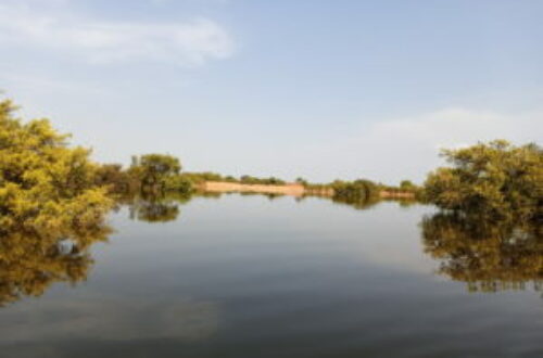 Article : Tchad : à cause des inondations, N’Djaména traverse des moments difficiles